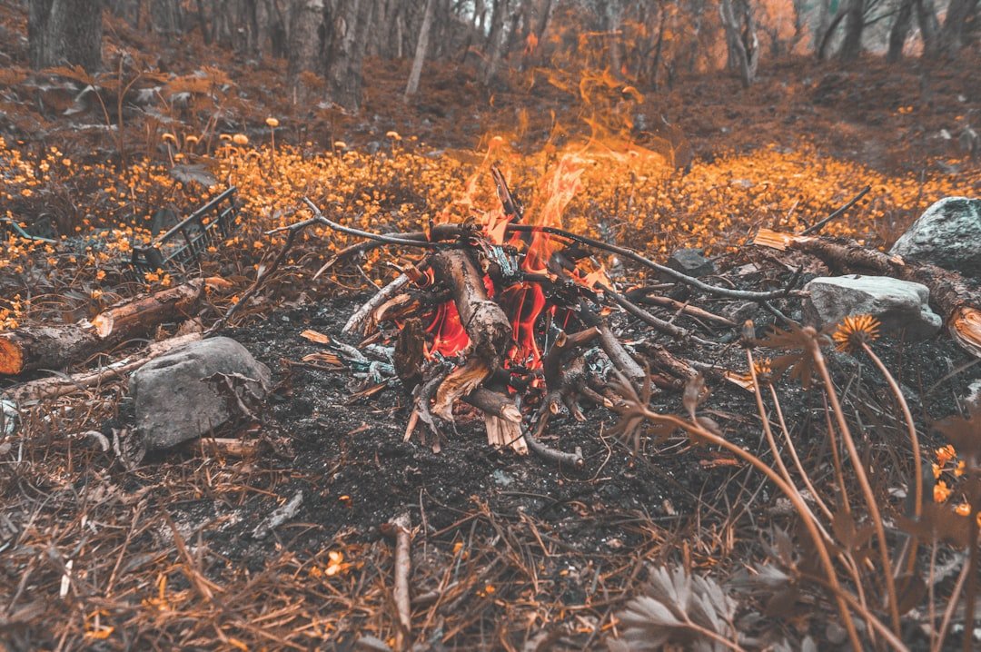 découvrez l'histoire inspirante d'un survivant de brûlure, un témoignage de courage, de résilience et de renouveau après une épreuve difficile.