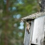 découvrez des conseils et des ressources essentiels pour le caregiving, afin d'offrir un soutien bienveillant et efficace aux proches nécessitant des soins.