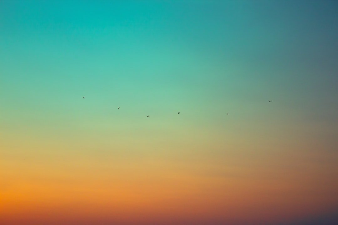 découvrez le concept d'autonomie : liberté d'agir, indépendance et prise de décision personnelle pour mieux gérer votre vie et vos projets.