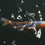 découvrez tout sur l'autonomie : définition, importance et conseils pour développer votre indépendance au quotidien.