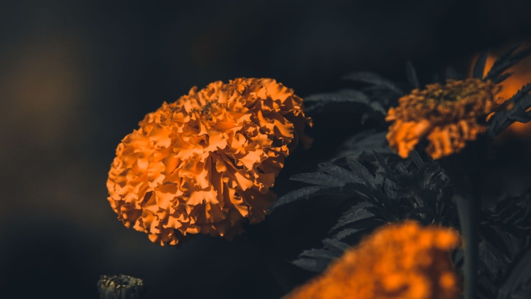 dépistage du cancer : méthodes, importance et conseils pour une détection précoce efficace afin d'améliorer les chances de guérison.