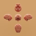 découvrez les premiers signes de la maladie d'alzheimer pour une détection précoce et une prise en charge adaptée.