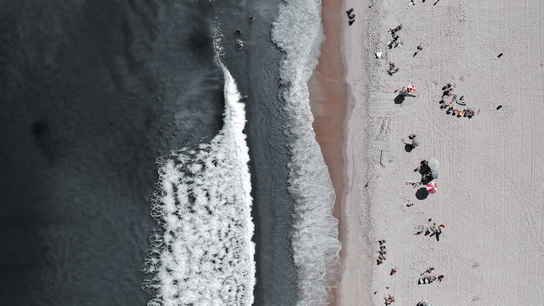 découvrez tout ce qu'il faut savoir sur les macronutriments : protéines, glucides et lipides essentiels pour une alimentation équilibrée et une bonne santé.