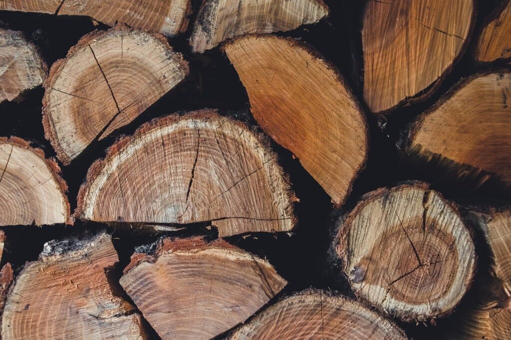 la déforestation désigne la destruction massive des forêts, impactant la biodiversité, le climat et les communautés locales. découvrez ses causes, conséquences et solutions pour préserver notre planète.