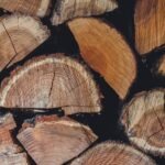 la déforestation désigne la destruction massive des forêts, impactant la biodiversité, le climat et les communautés locales. découvrez ses causes, conséquences et solutions pour préserver notre planète.