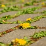 découvrez comment développer votre assertivité pour mieux exprimer vos opinions, affirmer vos besoins et améliorer vos relations personnelles et professionnelles.
