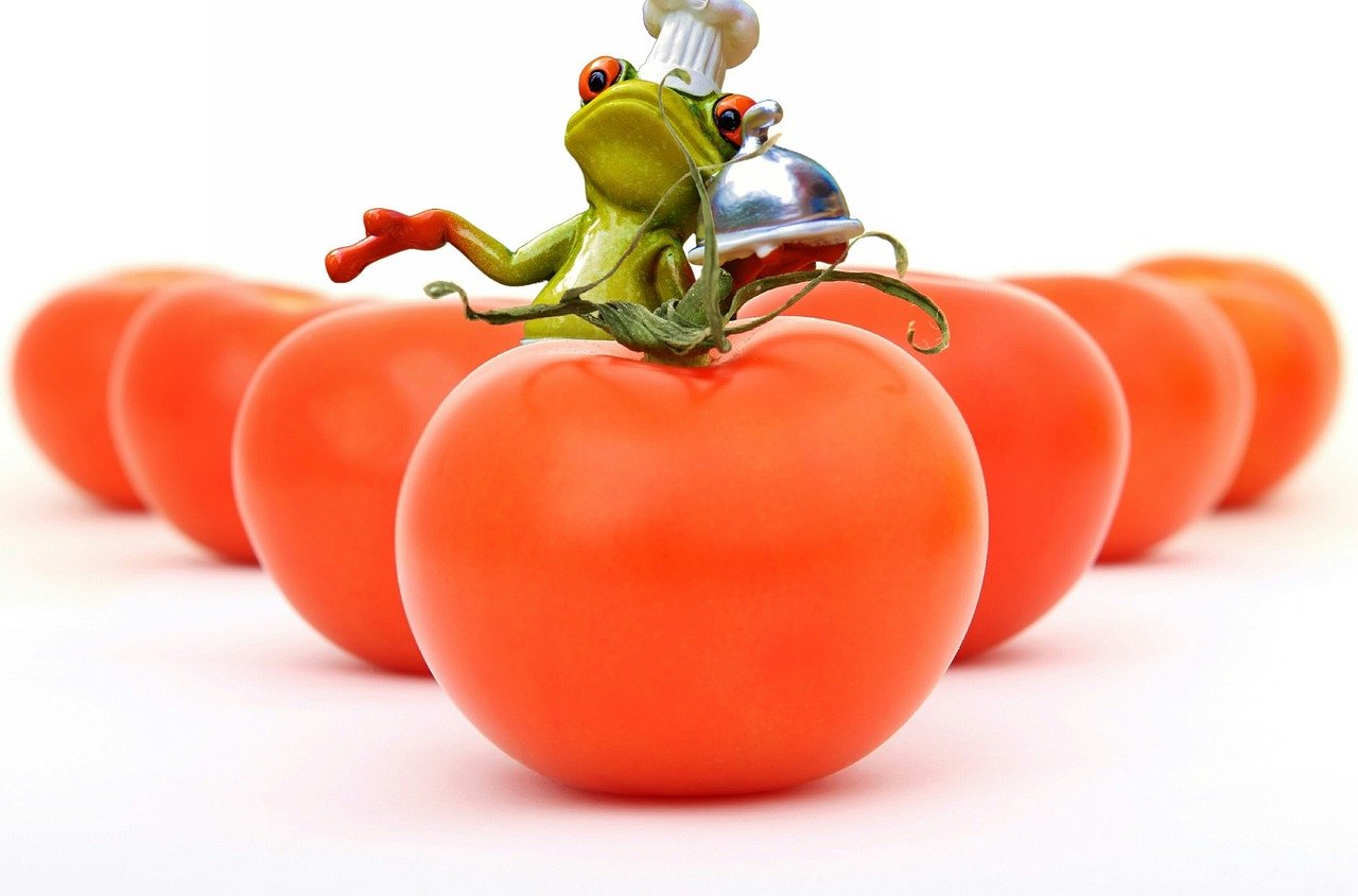 découvrez une variété de légumes frais et nutritifs pour une alimentation saine et équilibrée.