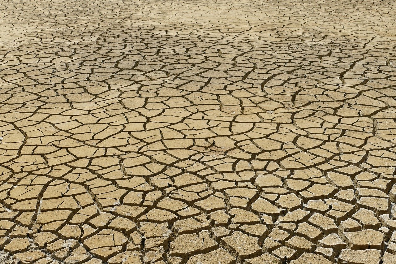 découvrez comment le changement climatique influence la propagation des maladies virales et ses impacts sur la santé mondiale.