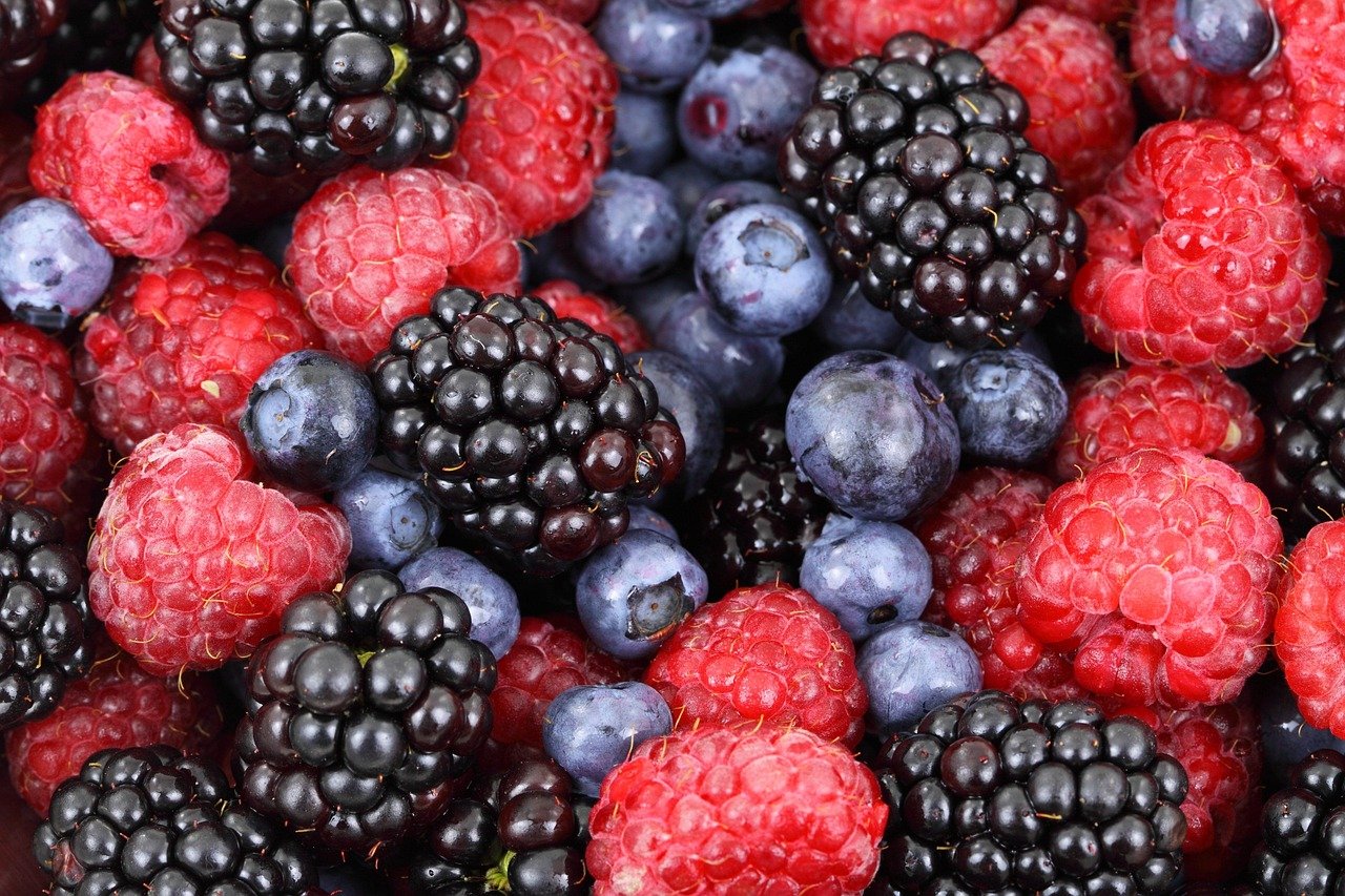 découvrez les régimes à la mode, leurs avantages et risques, pour bien comprendre les tendances alimentaires passagères.