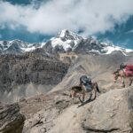 découvrez comment partager la charge mentale au quotidien pour mieux gérer les responsabilités et favoriser l'équilibre entre vie professionnelle et personnelle.