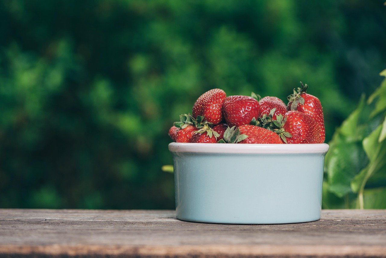 découvrez une sélection de snacks sains et délicieux pour une alimentation équilibrée et gourmande au quotidien.